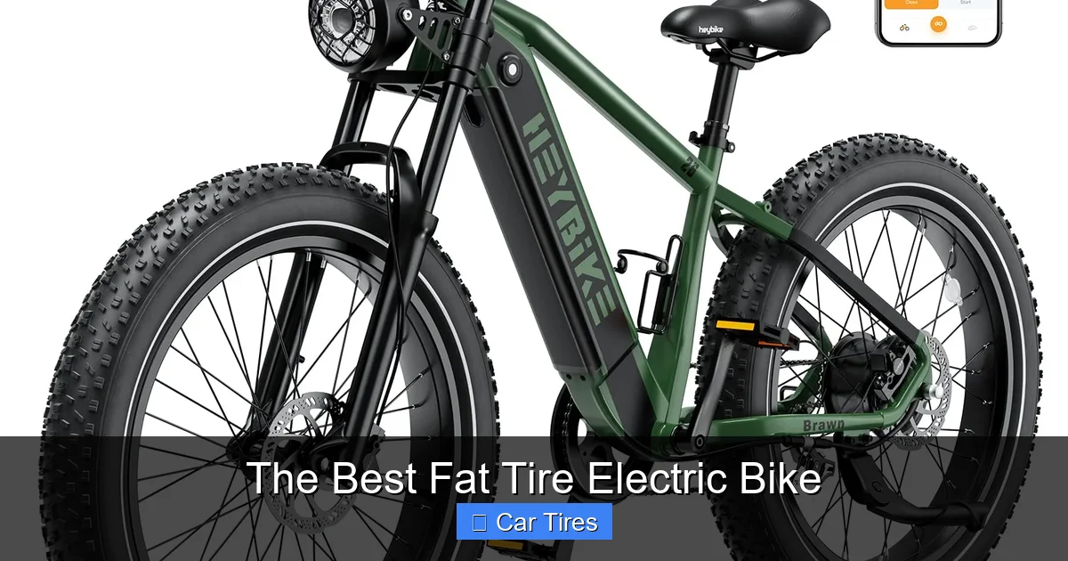 The Best Fat Tire Electric Bike