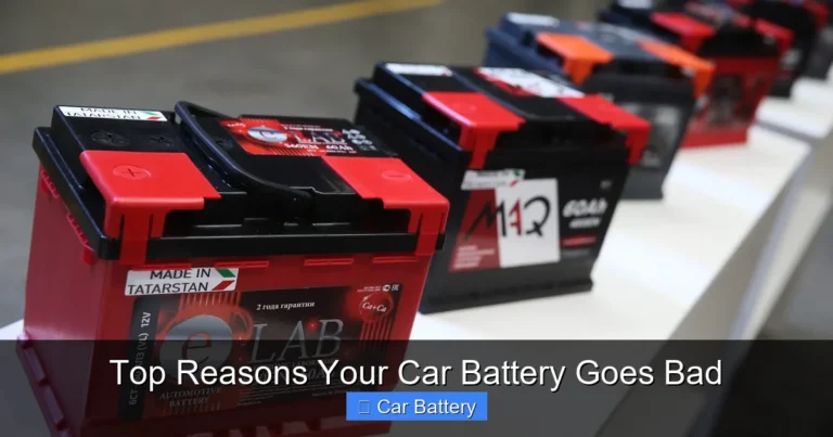 Top Reasons Your Car Battery Goes Bad