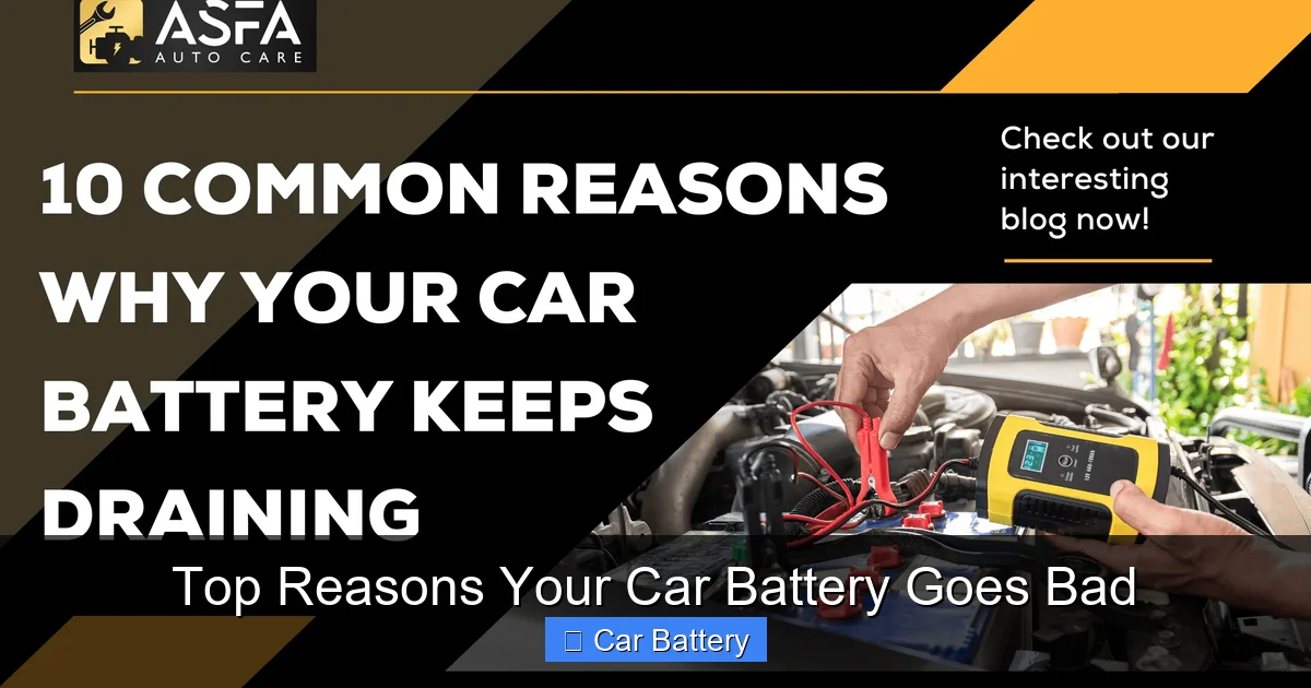 Top Reasons Your Car Battery Goes Bad