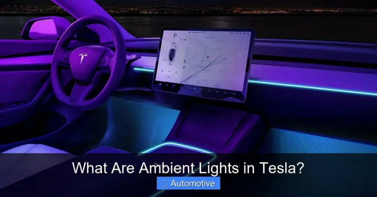 What Are Ambient Lights in Tesla?