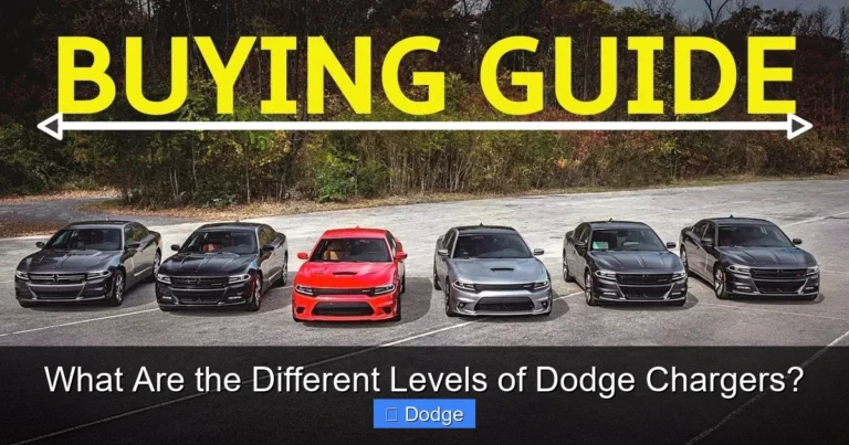 What Are the Different Levels of Dodge Chargers?