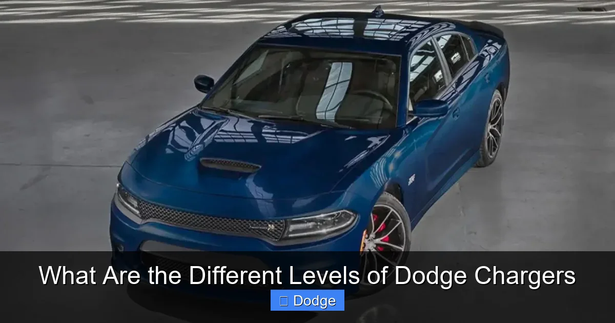 What Are the Different Levels of Dodge Chargers