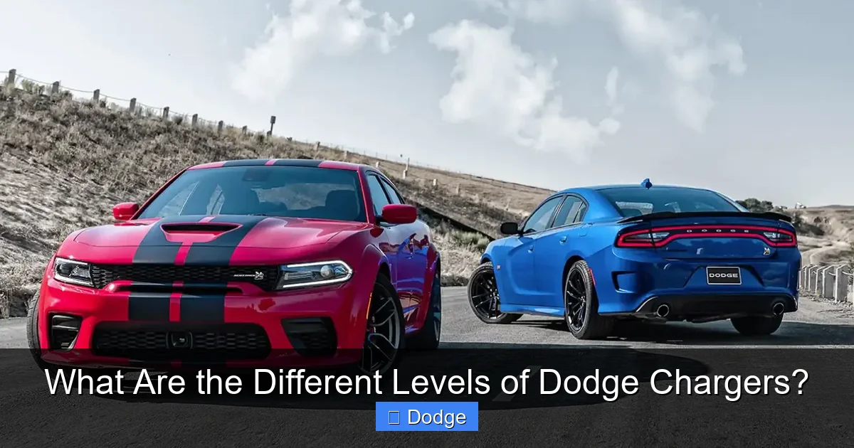 What Are the Different Levels of Dodge Chargers?