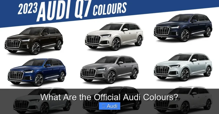 What Are the Official Audi Colours?