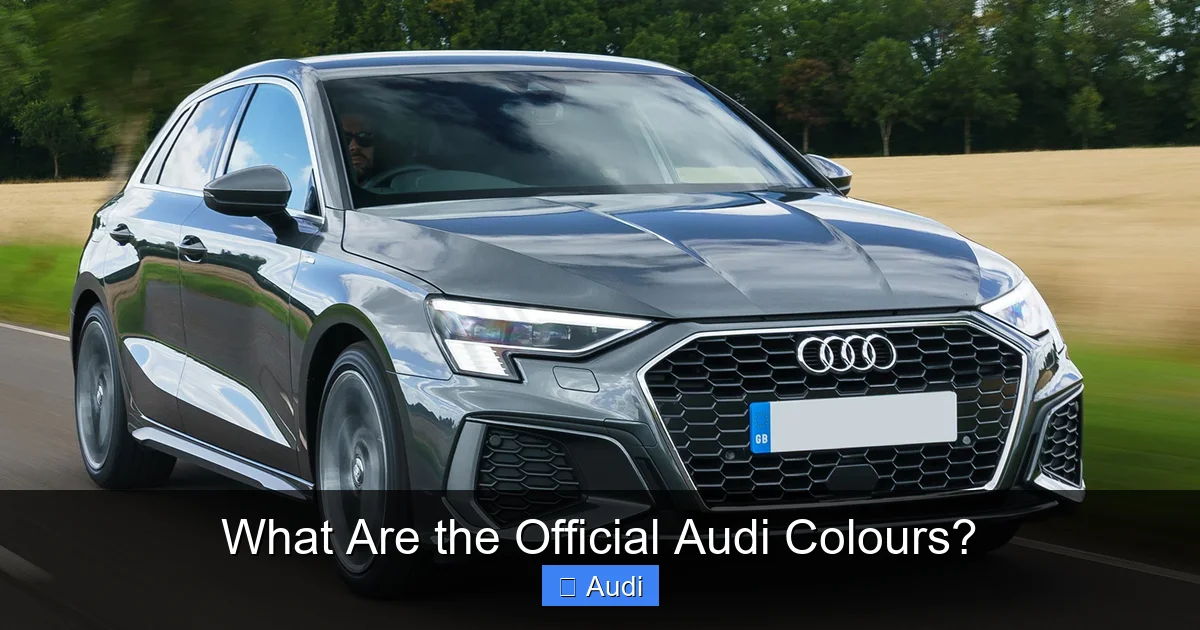 What Are the Official Audi Colours?