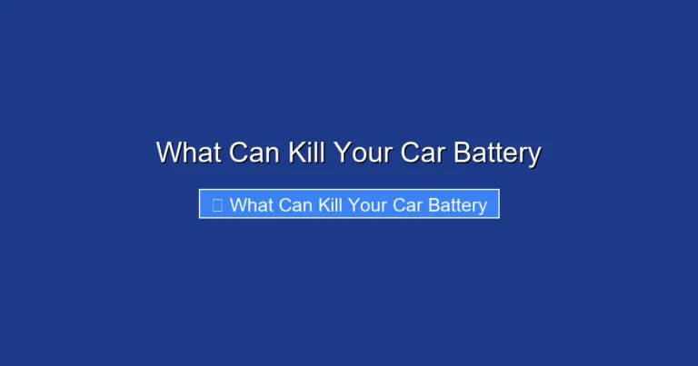 What Can Kill Your Car Battery