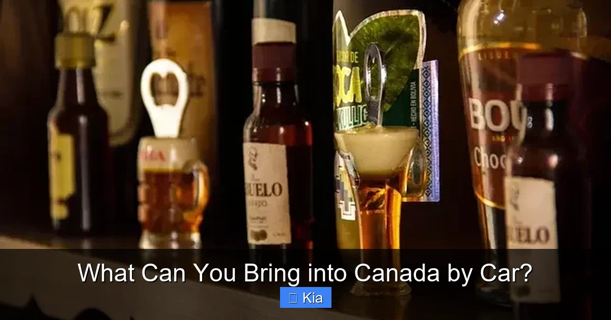 What Can You Bring into Canada by Car?