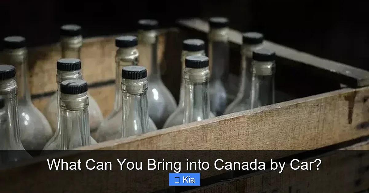 What Can You Bring into Canada by Car?