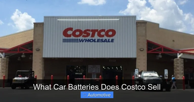 What Car Batteries Does Costco Sell
