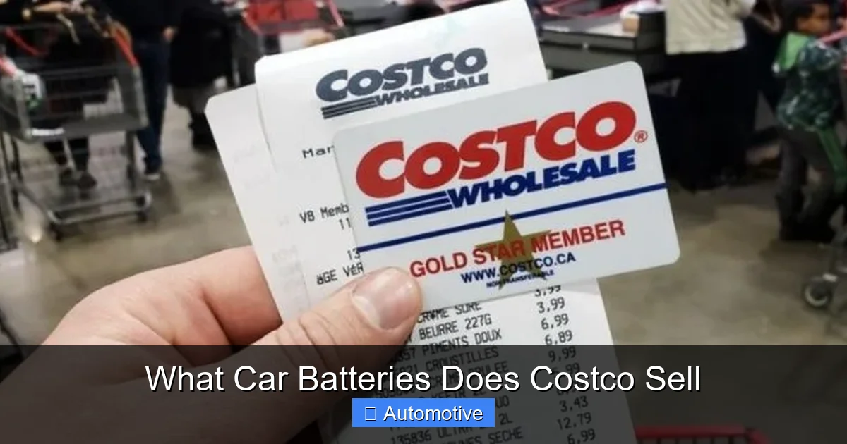 What Car Batteries Does Costco Sell