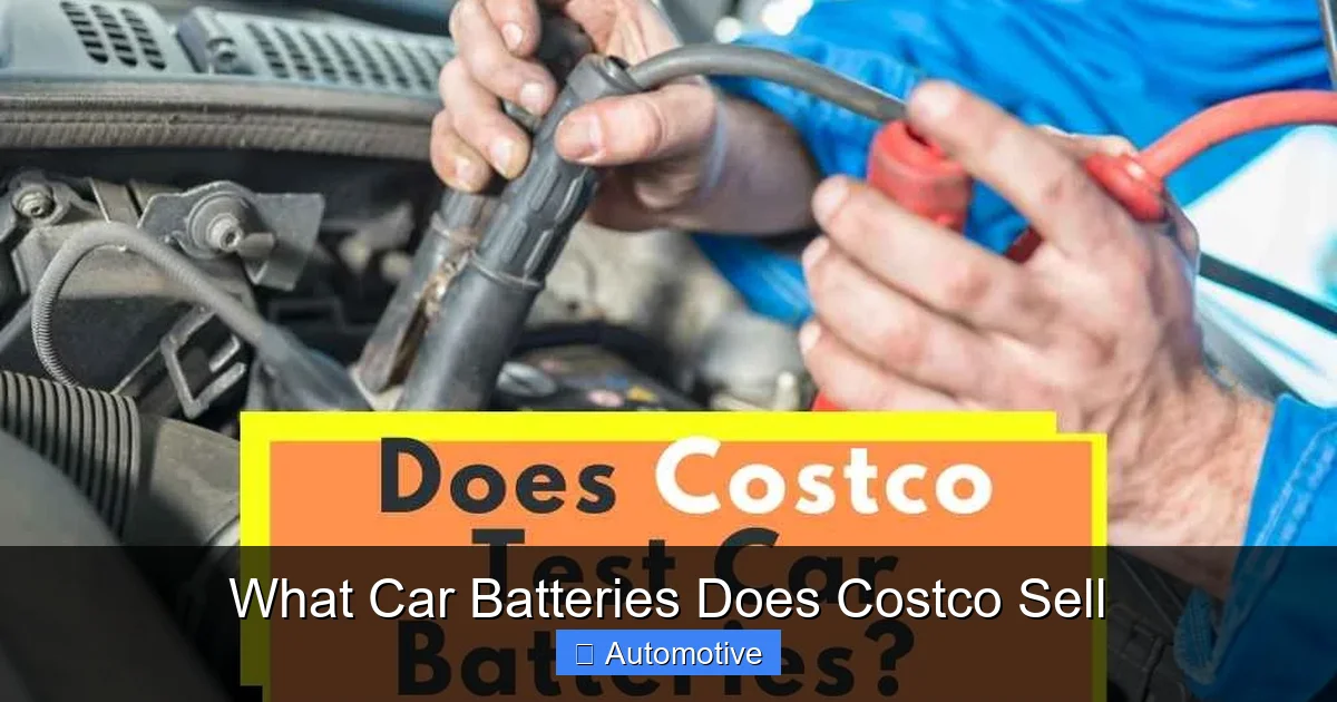 What Car Batteries Does Costco Sell