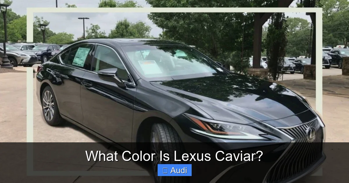 What Color Is Lexus Caviar?