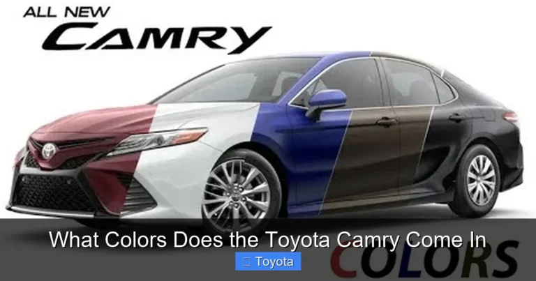 What Colors Does the Toyota Camry Come In