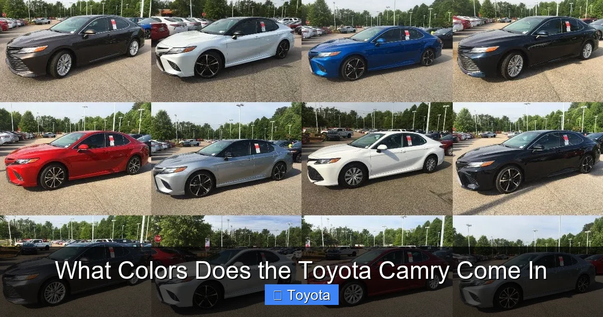 What Colors Does the Toyota Camry Come In