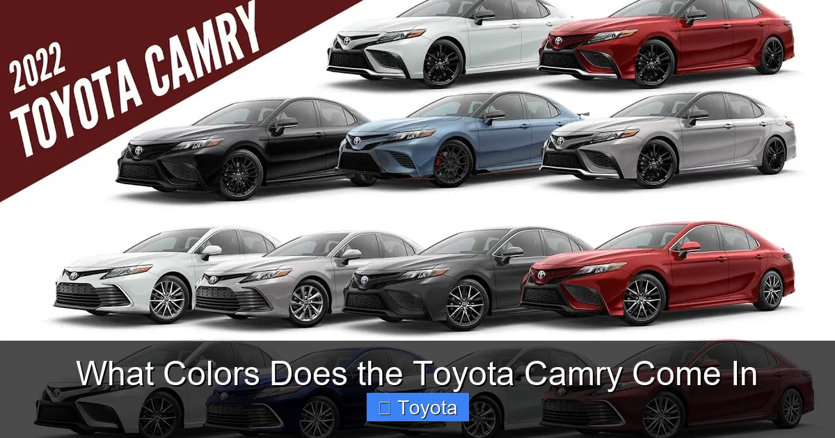 What Colors Does the Toyota Camry Come In