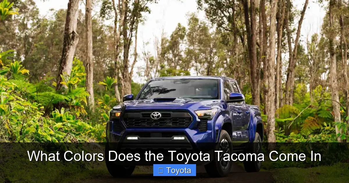 What Colors Does the Toyota Tacoma Come In