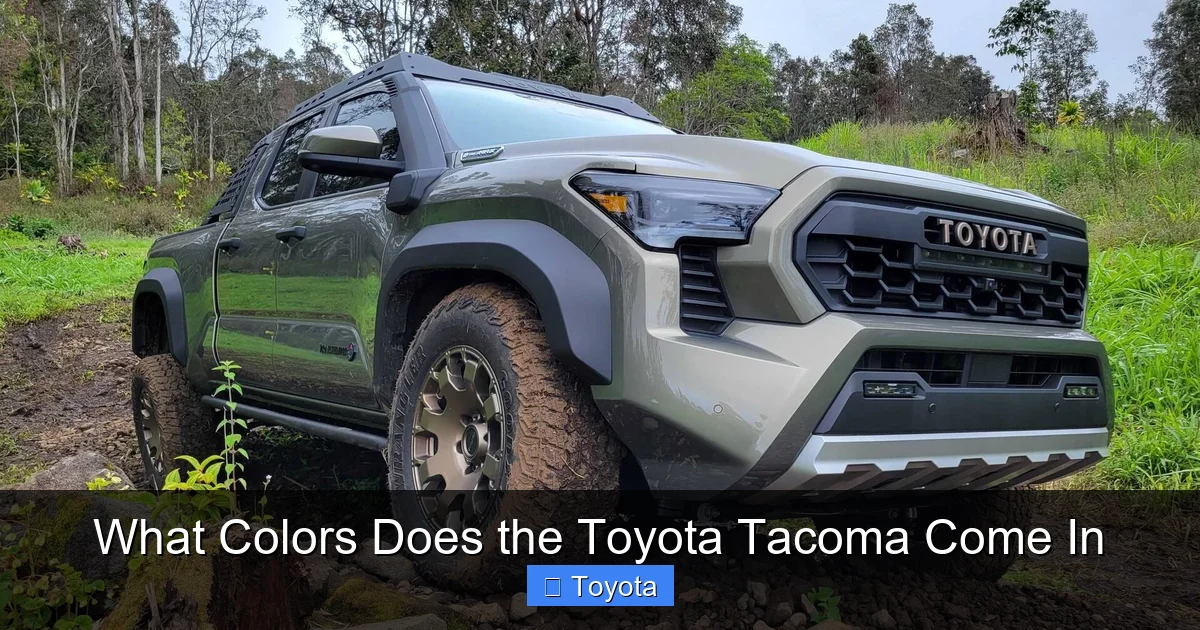 What Colors Does the Toyota Tacoma Come In