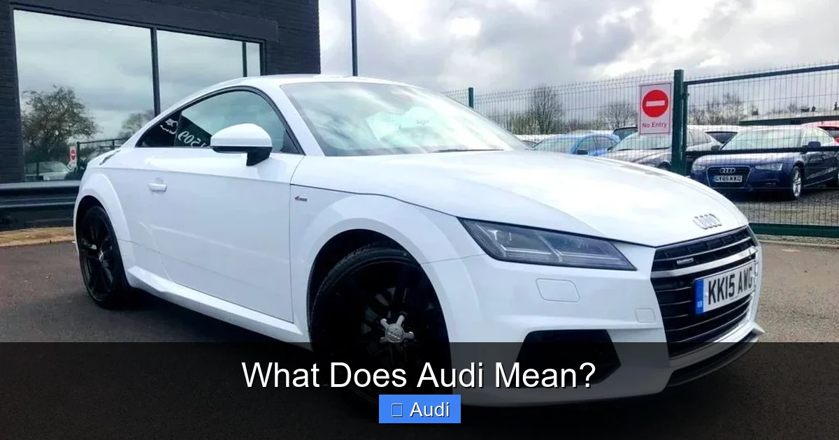 What Does Audi Mean?