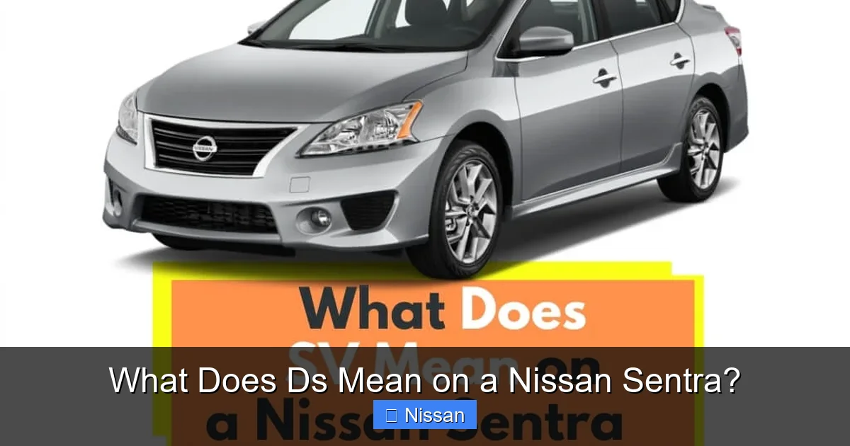 What Does Ds Mean on a Nissan Sentra?