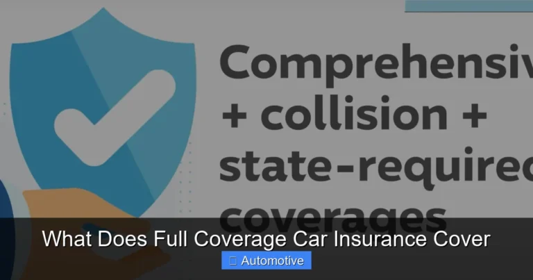 What Does Full Coverage Car Insurance Cover