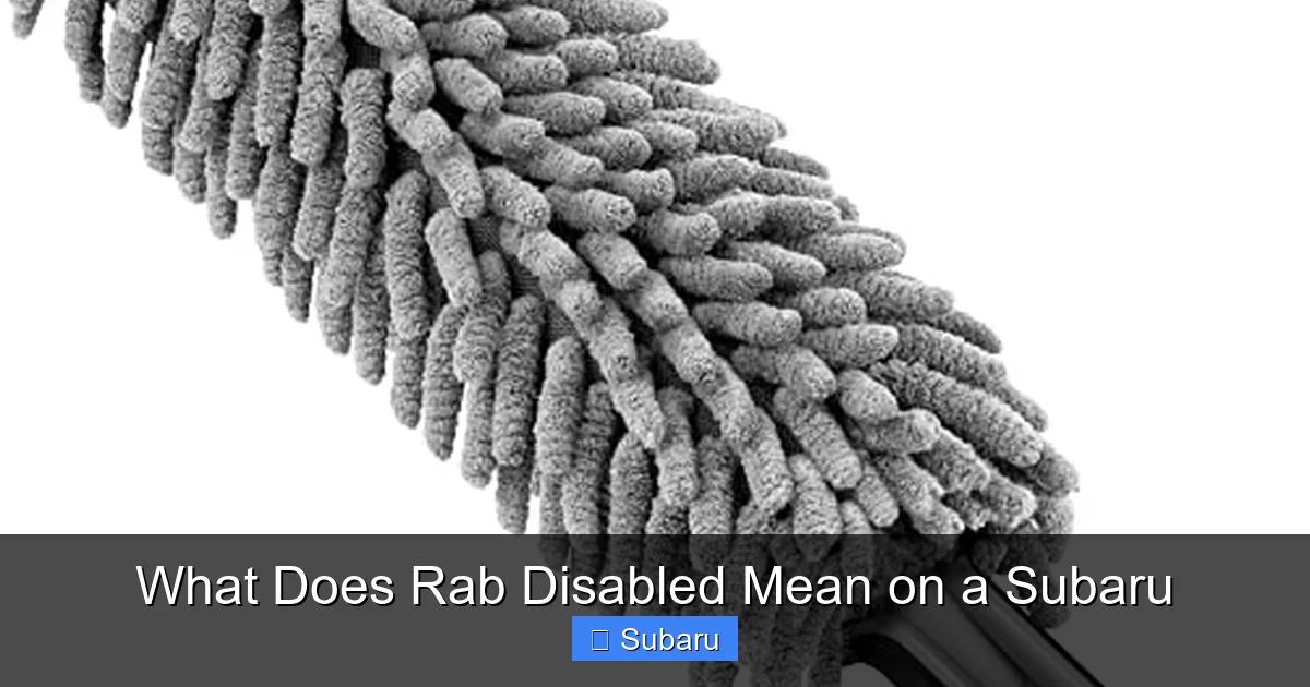 What Does Rab Disabled Mean on a Subaru