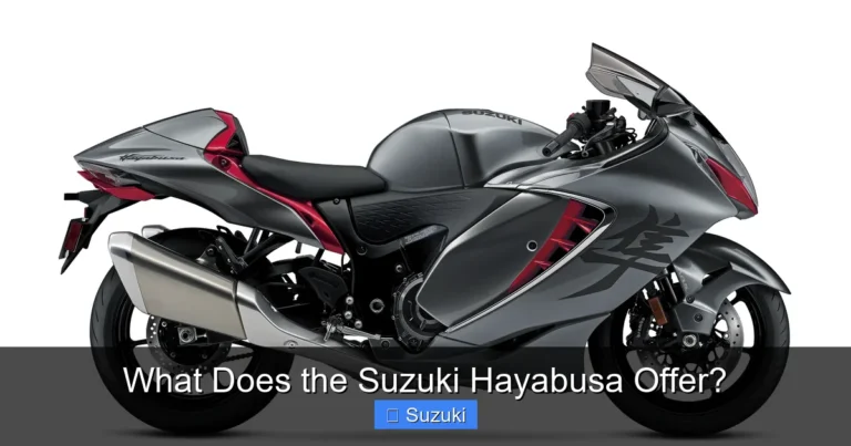 What Does the Suzuki Hayabusa Offer?