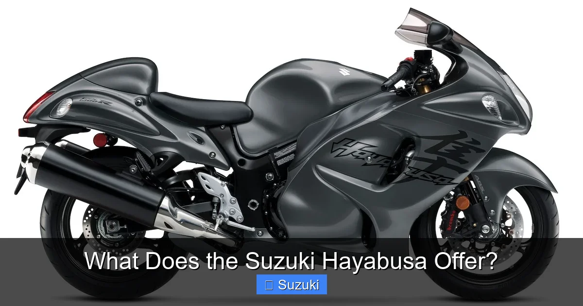 What Does the Suzuki Hayabusa Offer?