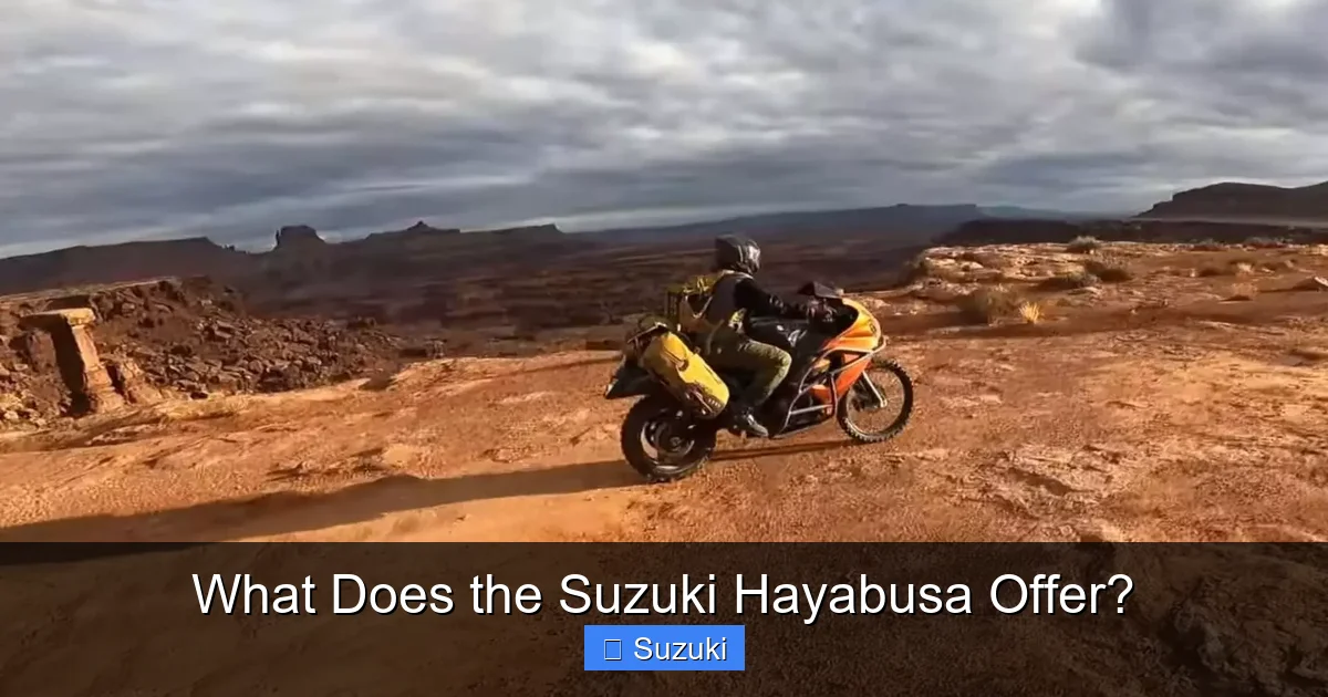 What Does the Suzuki Hayabusa Offer?