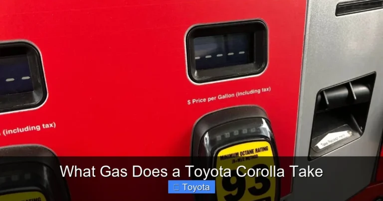 What Gas Does a Toyota Corolla Take