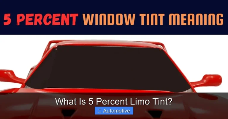 What Is 5 Percent Limo Tint?