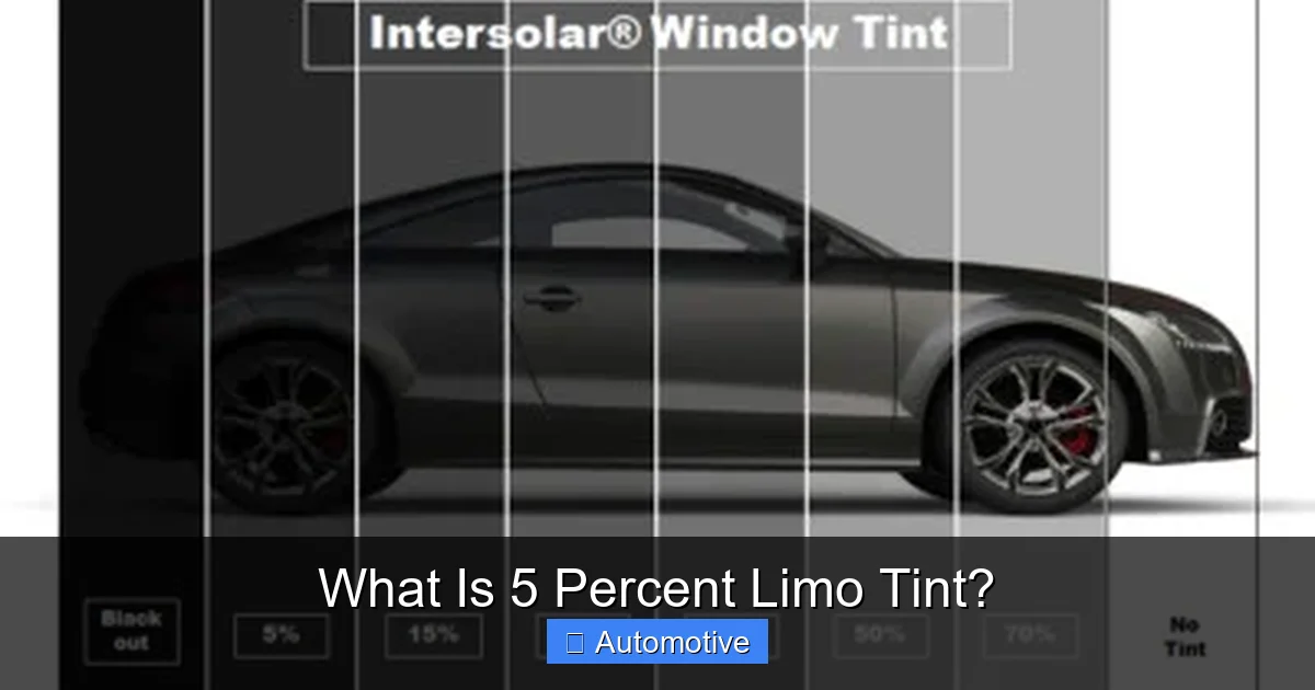 What Is 5 Percent Limo Tint?