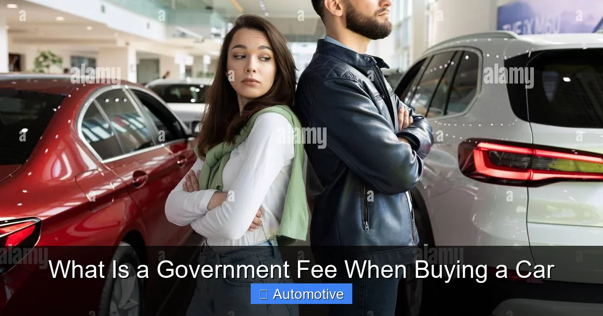 What Is a Government Fee When Buying a Car