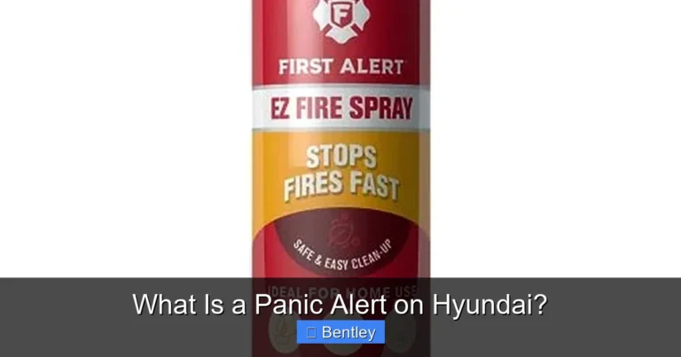 What Is a Panic Alert on Hyundai?