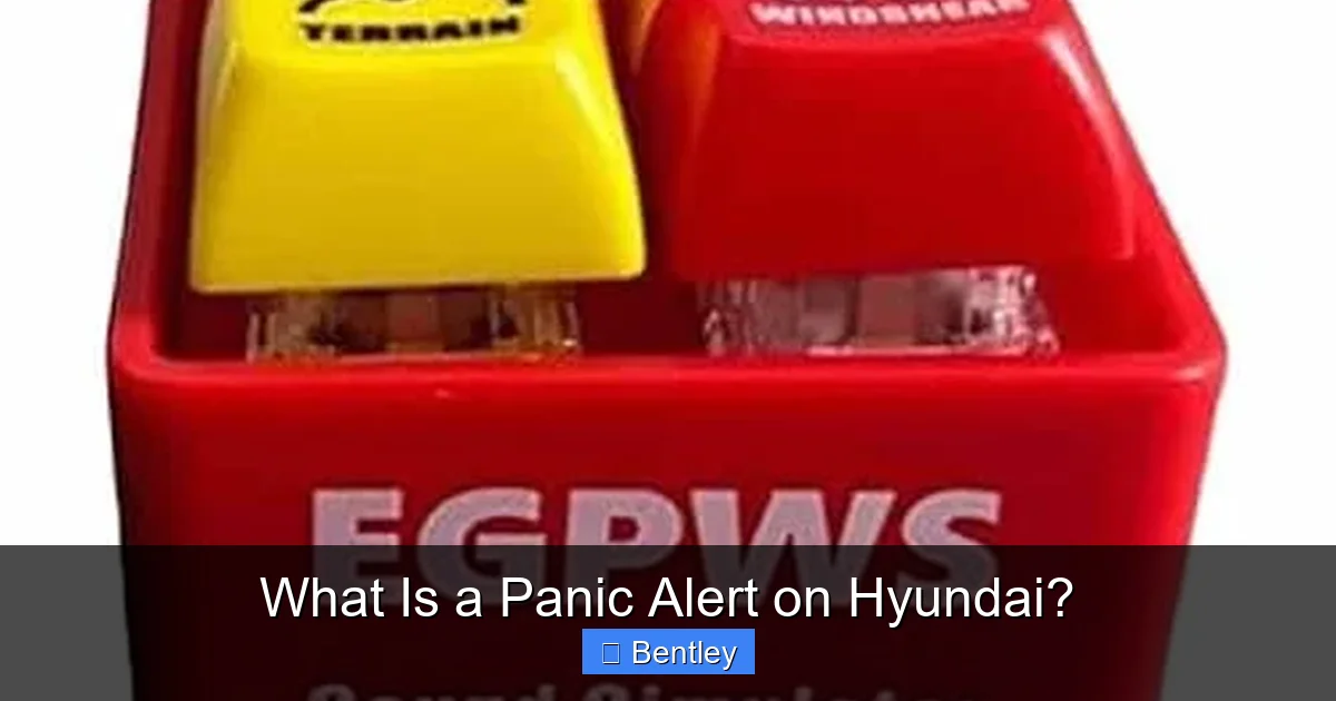 What Is a Panic Alert on Hyundai?