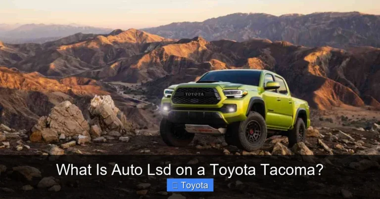 What Is Auto Lsd on a Toyota Tacoma?