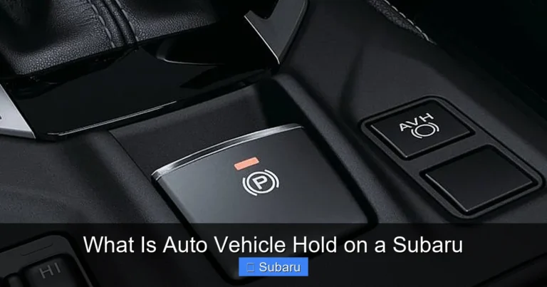 What Is Auto Vehicle Hold on a Subaru