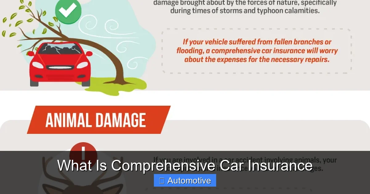 What Is Comprehensive Car Insurance