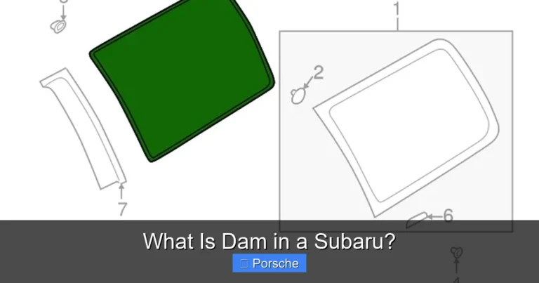 What Is Dam in a Subaru?