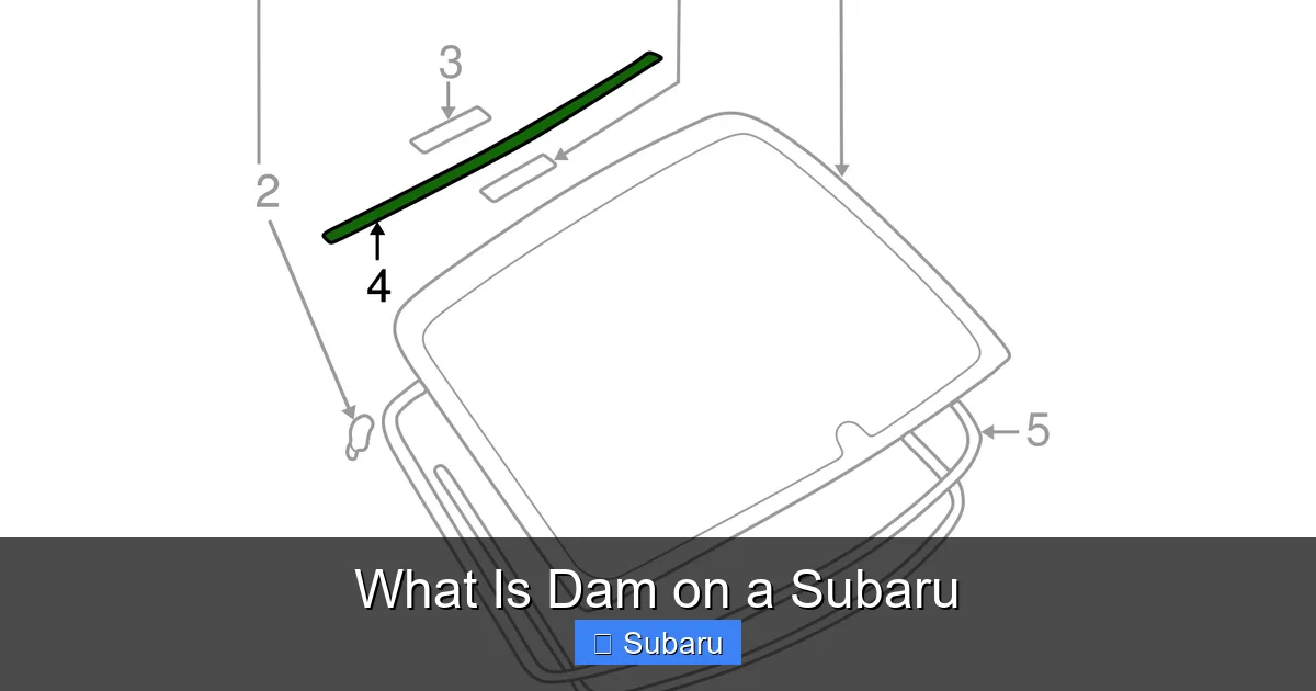 What Is Dam on a Subaru