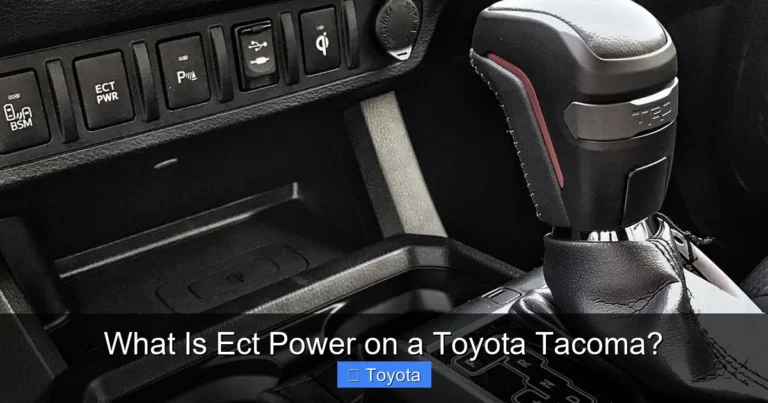 What Is Ect Power on a Toyota Tacoma?