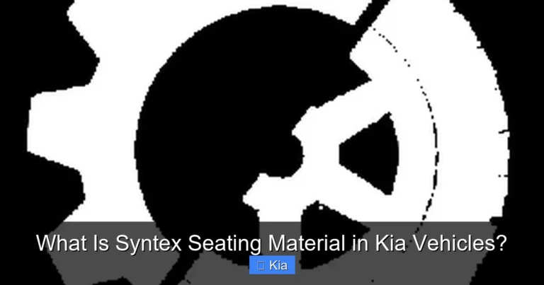 What Is Syntex Seating Material in Kia Vehicles?