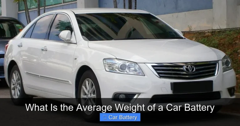 What Is the Average Weight of a Car Battery