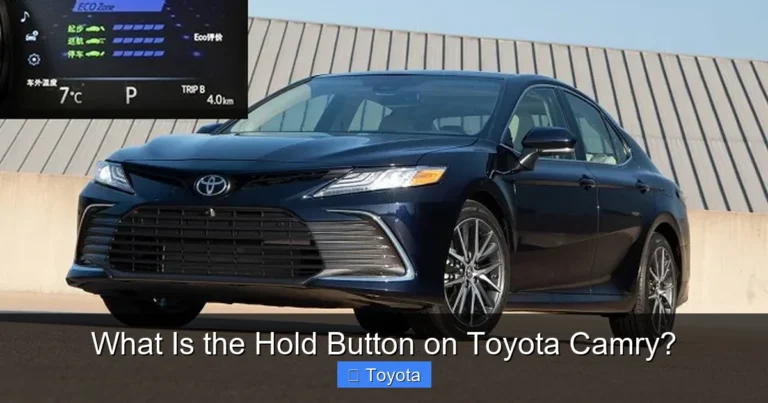 What Is the Hold Button on Toyota Camry?