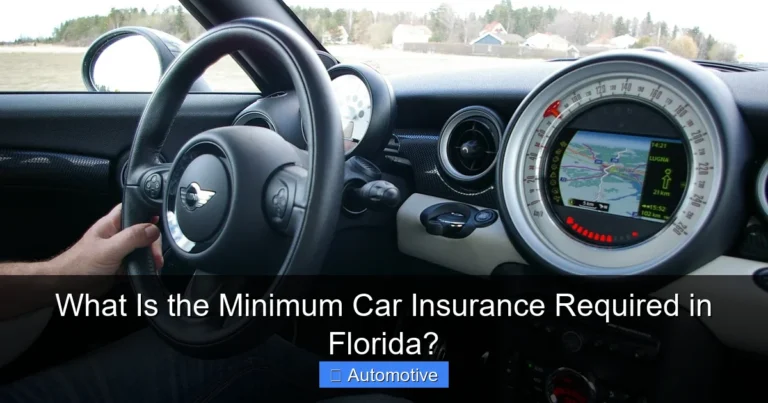 What Is the Minimum Car Insurance Required in Florida?
