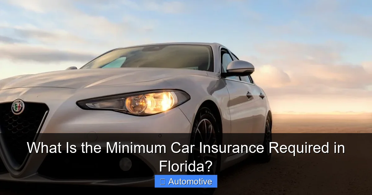 What Is the Minimum Car Insurance Required in Florida?