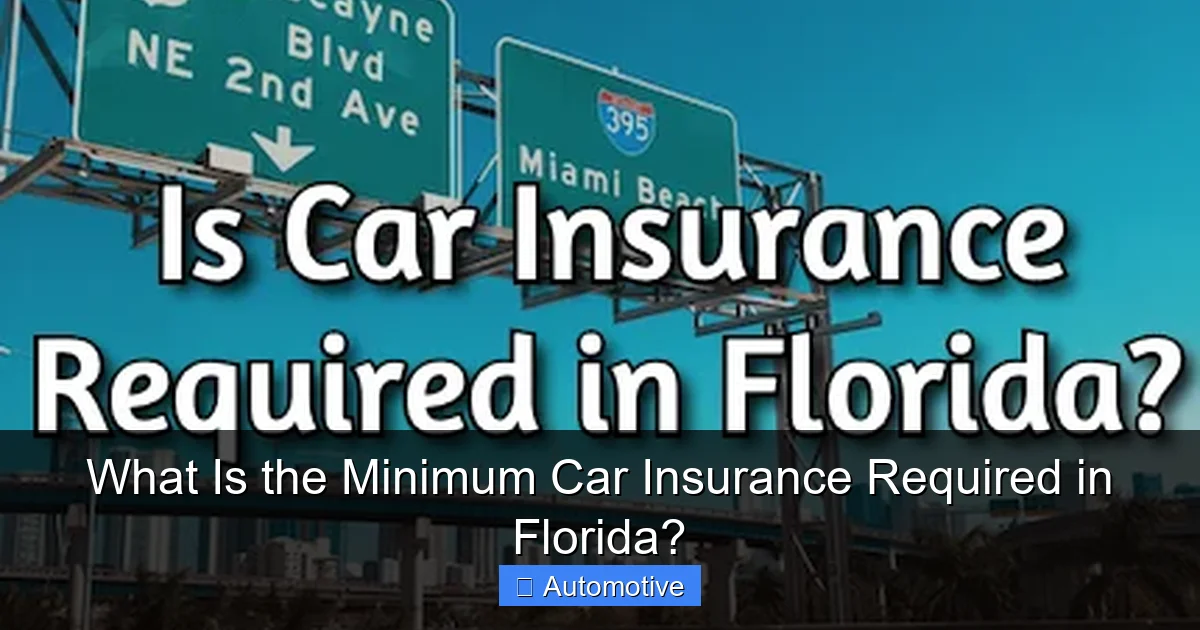 What Is the Minimum Car Insurance Required in Florida?