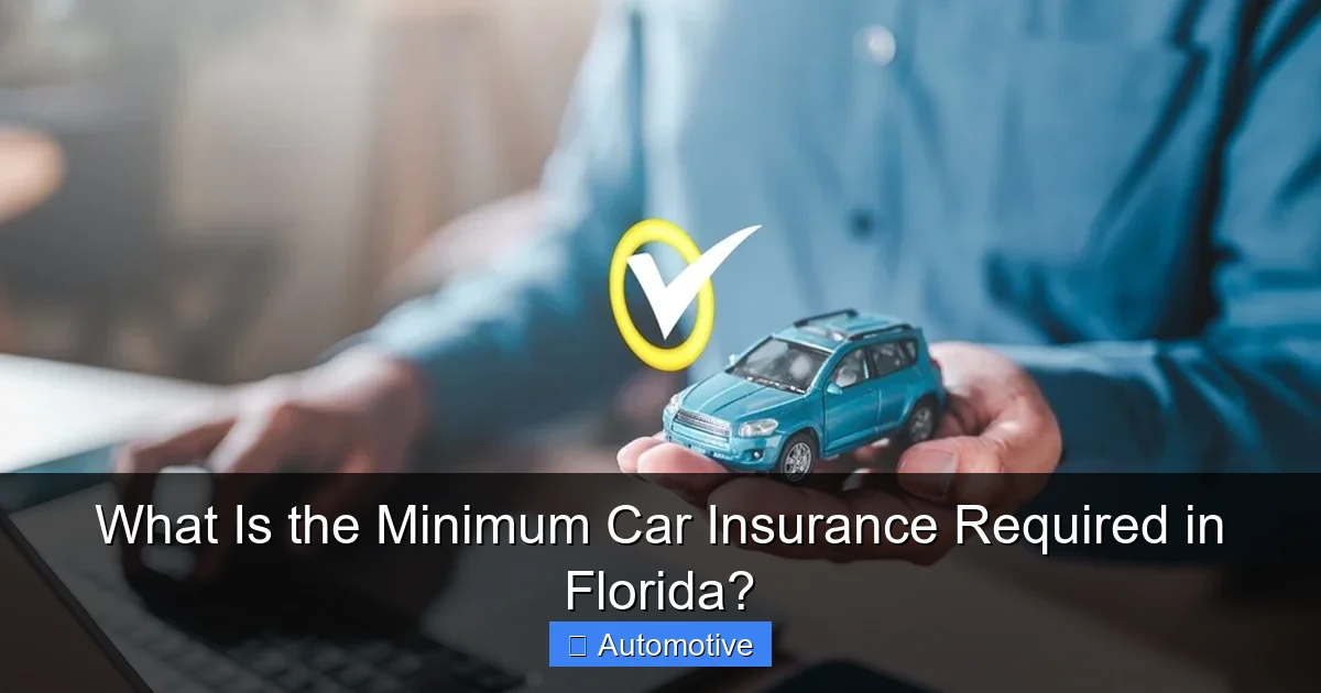 What Is the Minimum Car Insurance Required in Florida?