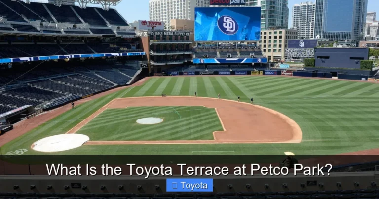 What Is the Toyota Terrace at Petco Park?