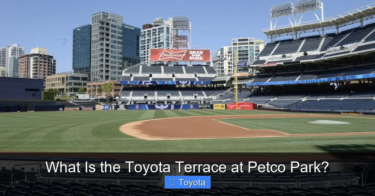 What Is the Toyota Terrace at Petco Park?