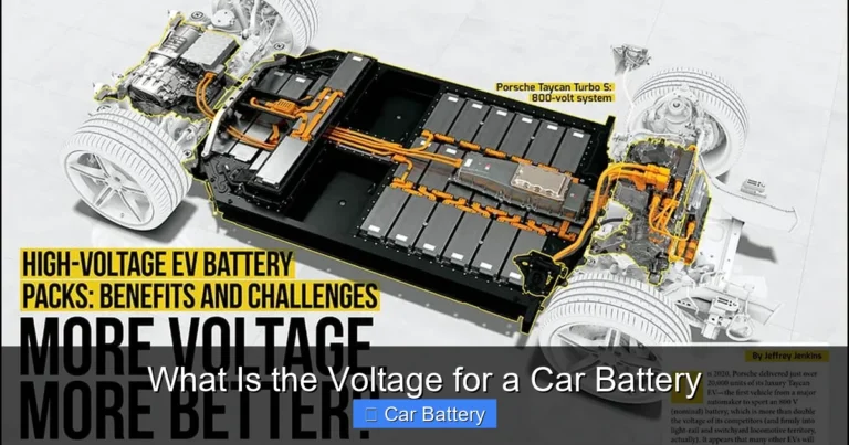 What Is the Voltage for a Car Battery